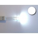Led redondo blanco (alto brillo)