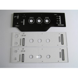 C172 Tren y throttle