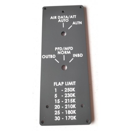 B787 Air data and screens pilot