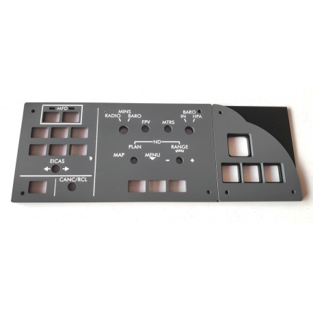 B787 EFIS for copilot