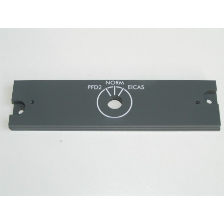 CRJ200/700 Display reversionary copilot