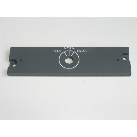 CRJ200/700 Display reversionary pilot