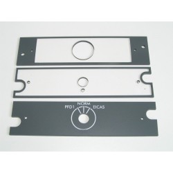 CRJ200/700 Display reversionary pilot