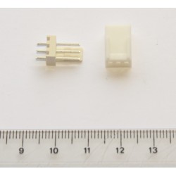 Conector recto polarizado (3-pin)