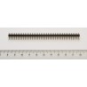 Pin strip