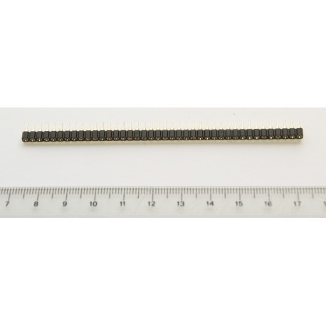 Female pin strip
