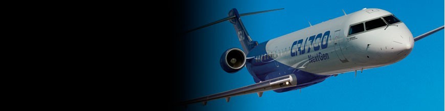hispapanels | Bombardier CRJ700 - Paneles de Instrumentos para tu Simulador de Vuelo