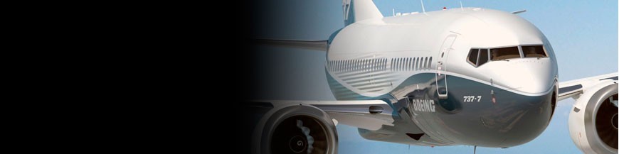 hispapanels | Boeing 737 - Paneles de Instrumentos para tu Simulador de Vuelo
