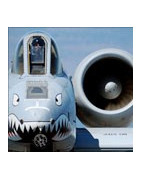 A-10 Thunderbolt II