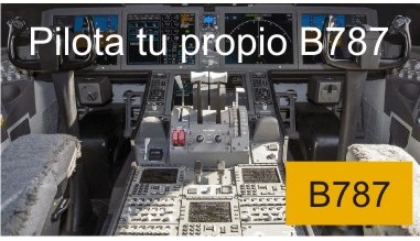 Boeing B787 Cockpit | hispapanels